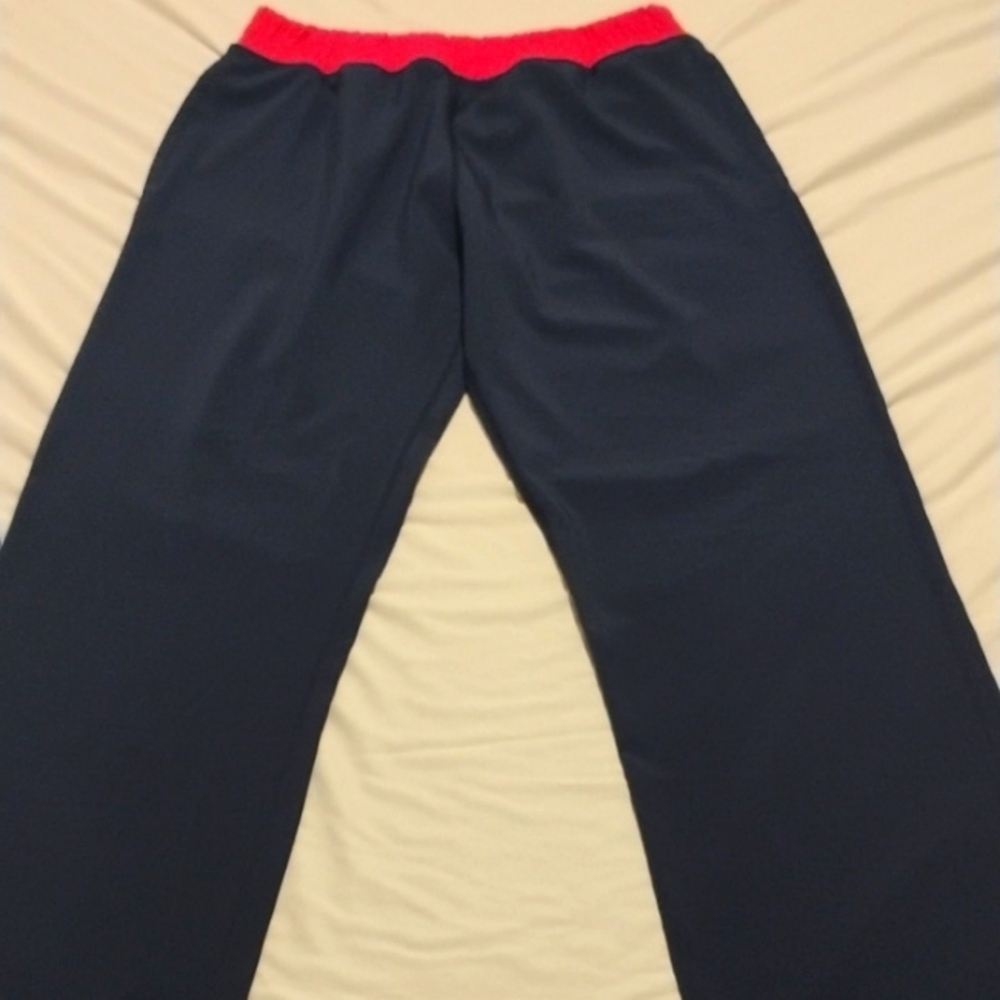 Fabletics Active Pants - image 1